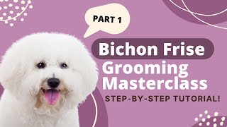 How to Groom a Bichon Frise  Bichon Frise Grooming Tutorial Part 1 [upl. by Coughlin]