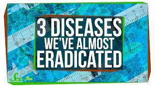 Three Creative Ways to Eradicate Diseases [upl. by Slrahc]