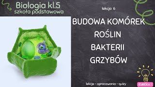 Biologia klasa 5  lekcja 6  Komórka roślin bakterii grzybów [upl. by Larkin]