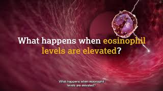 What are eosinophils [upl. by Primaveras]