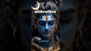 गंगवारgangavarजटधारjatadhar🙏🔱Bhole CharaniyMahadev Whatsapp Status [upl. by Enneirdna630]