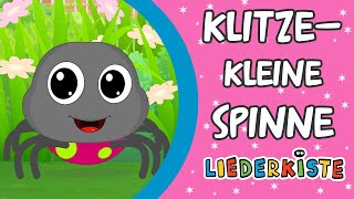 Klitzekleine Spinne  Kinderlieder zum Mitsingen  Liederkiste [upl. by Aramoj319]