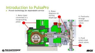 PulsaPro Diaphragm Pumps Innovation and Value [upl. by Dowling]