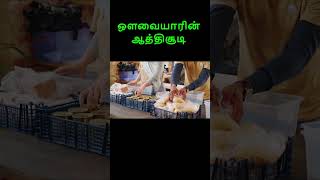 ஆத்திசூடி  தமிழ் aathisudi tamil  aathichudi in tamil  அ ஆ இ ஈ uyirezhuthukal aathisoodi [upl. by Ballou156]