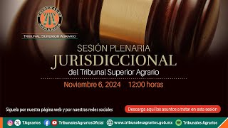 061124  Sesión Plenaria Jurisdiccional [upl. by Neysa940]