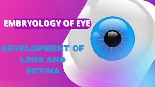 EMBRYOLOGY OF EYEDEVELOPMENT OF LENS AND RETINA [upl. by Bever]