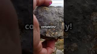 Unveiling Metamorphic Mysteries  Rock Transformations [upl. by Olinde]