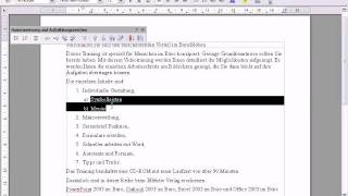 OpenOffice Writer Formatierung Gliederung [upl. by Hbahsur]