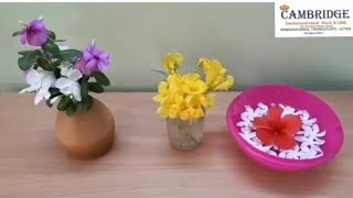 Flower Arrangement  Montessori Activity [upl. by Ynnhoj]