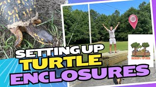 Setting up turtle enclosures on the farm [upl. by Azeria]