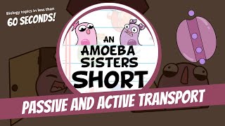 Passive and Active Transport  Amoeba Sisters Shorts [upl. by Franklin388]