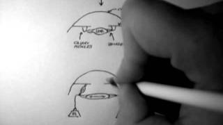 Ciliary Muscle Contraction [upl. by Pearson]