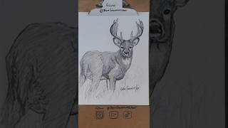 Monster Buck drawing with markers drawing wildlifeart [upl. by Heisel]