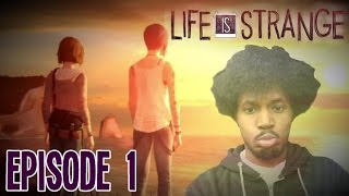 Life is Strange Episode 5 All Endings All Season 1 Endings [upl. by Ewnihc]