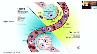 An update on respiratory transfusion reactions – Dr Maha Badawi September 1516 2023 [upl. by Katushka246]