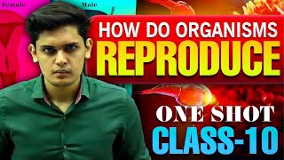 How Do Organisms Reproduce Complete Chapter🔥Class 10th Science NCERT covered Prashant Kirad [upl. by Gerge]