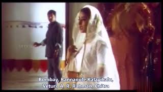 Veturi gari Paata II Bombay II Kannanule Kaliyikalu II A R Rahman II Chitra [upl. by Nonnahc]