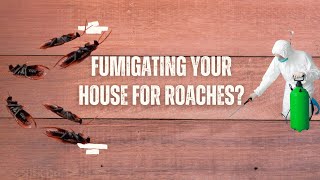 Fumigating Your House for Roaches Heres What You Must Know [upl. by Minette]