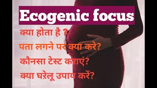 Echogenic focus  Complete Detail In Hindi [upl. by Llenahs]