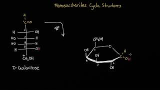 Converting an open chain monosaccharide into its cyclic structure [upl. by Penelope70]