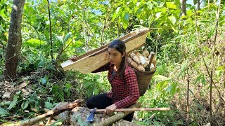 Go to the forest to dig cassava and make troughs for pigs to eat  Lý Lưu Linh [upl. by Leyameg]