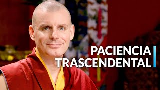 37 Prácticas 27 La paz crece con la Paramita de la Paciencia  Lama Rinchen Gyaltsen [upl. by Khudari566]