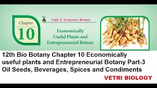 12th Bio Botany Chapter 10 Economically useful plants and Entrepreneurial Botany Part 3 [upl. by Amikan]