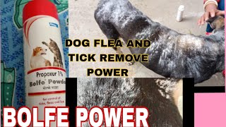 Best Tick Powder For Dog  Flea And Tick Remove For 2 Minutes In Dogs Body [upl. by Bannerman]