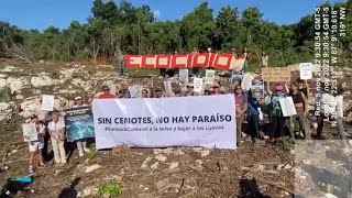 quotEcocidio en el paraísoquot la devastación del Tren Maya en México [upl. by Sldney]