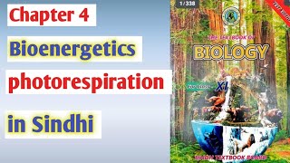 photorespiration class 11 biology Sindh board [upl. by Ayenat]