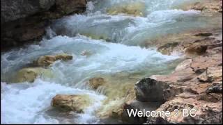 Marble Canyon Kootenay National Park  Canadian Rockies BC [upl. by Oisangi]