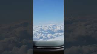 Vilnius Lithuania Flight View ❤️ shortsvideo shortsfeed youtubeshorts shorts europe [upl. by Eimmaj]