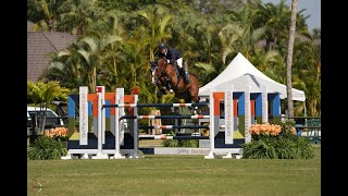 Fancy De Kergane amp Cian OConnor  WEF 4 CSI4 Grand Prix [upl. by Riva903]