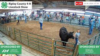 2024 Ripley County 4H Fair  Livestock Auction [upl. by Aznofla551]