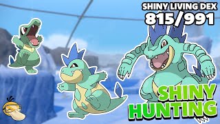 LIVE Shiny Marked TOTODILE Hunting No Uncommon Mark  Pokemon SV The INDIGO DISK [upl. by Gnaht]