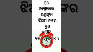 odisha gk  odia Gk l odisha questions andanswers  odia Gk online  shorts odiagk odishagk gk [upl. by Hgielime]