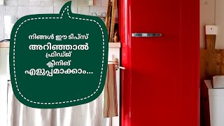 ഫ്രിഡ്ജ് ക്ലീൻ ചെയ്യാം എളുപ്പത്തിൽ Fridge Cleaning Organization Tips Malayalam Kerala Home Kitchen [upl. by Adnilreb]