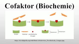 Cofaktor Biochemie [upl. by Kere93]