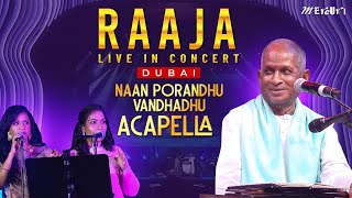 Acapella  Naan Porandhu Vandhadhu  Raaja Live in Concert  DUBAI  Maestro Ilaiyaraaja [upl. by Reisman343]