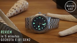 Review in 5 Minutes Geckota E01 Generation 2 [upl. by Arot653]