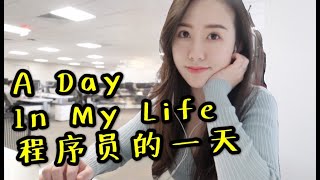 程序员的一天  码农在美国的日常  A day in the life of a Software Engineer [upl. by Zerimar]