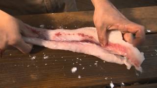 Invasive Carp  Filleting amp Cooking [upl. by Allisan]