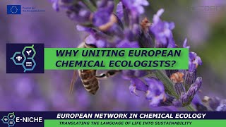 Why a COST program to unify chemical ecologists [upl. by Icats]