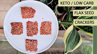 Flax Seed Crackers  Simple Keto Crackers  Crispy Flax amp Seed Crackers  Easy Keto Recipes [upl. by Skeie]