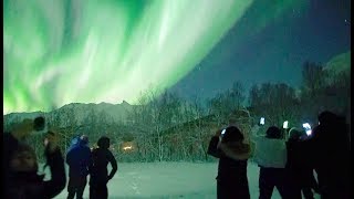 🇳🇴Chasing Lights in Tromsø Norway [upl. by Razaile]