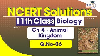 NCERT Solutions Class 11 Biology Chapter 4 Question No 6  Animal Kingdom [upl. by Katina]