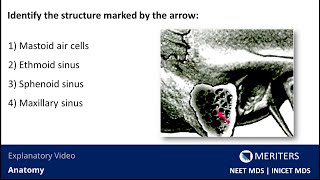 NEET MDS  INICET  Anatomy   Explanatory Video  MERITERS [upl. by Sidky]