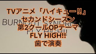 TVアニメ「ハイキュー セカンドシーズン」第2クールOPテーマ BURNOUT SYNDROMES「FLY HIGH」を歯で弾いてみた。 burnoutsyndromes flyhigh [upl. by Aremmat]