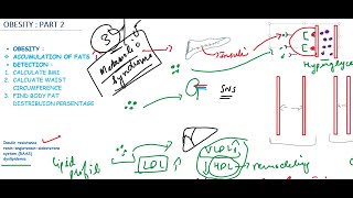 quotClinical Perspectives on Obesity Metabolic Changes in Blood Pressure Lipids and BMIquot part 2a [upl. by Aihcsrop]