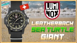 GShock Competitor  Luminox Sea Turtle Giant 100m Quartz wCARBONOX™ Case Unbox amp Review [upl. by Eugenle490]